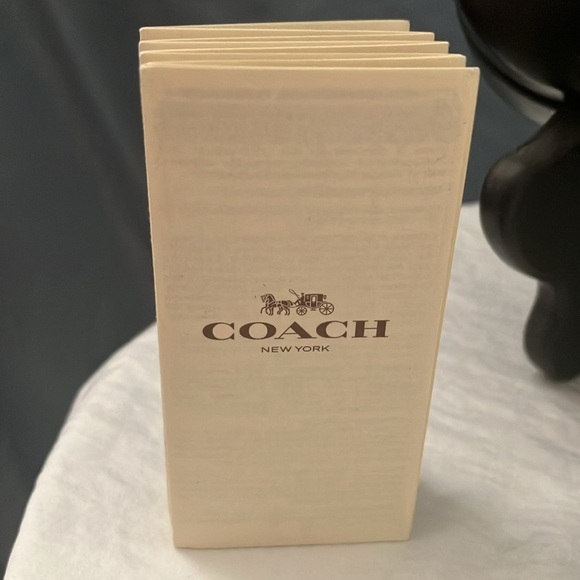 Coach: Translucent Blue (C3504) Sunglasses - Picture 5 of 16